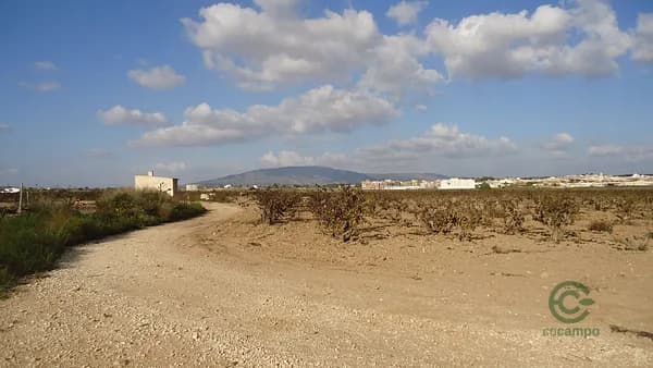 Finca agrícola de 6,9811 ha en venta en Alicante