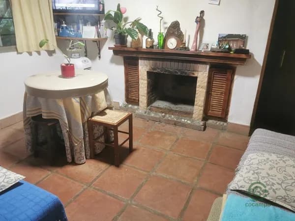Finca rústica de 0,25 ha en venta en Benalauria, Málaga