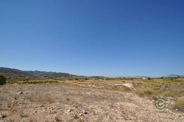 Finca agrícola de 4,49 ha en venta en Abanilla, Murcia