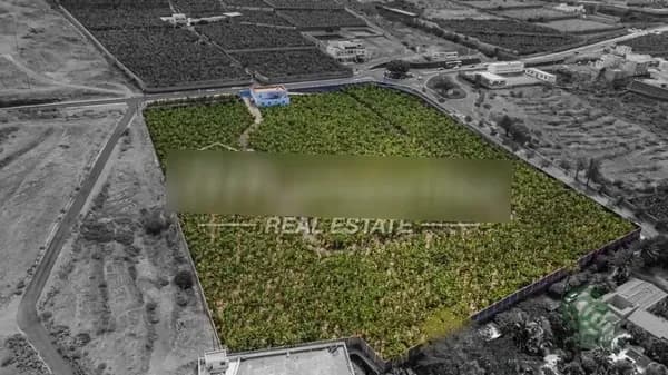 Finca rústica de 2,5455 ha en venta en Adeje, Sta.cruz tener.