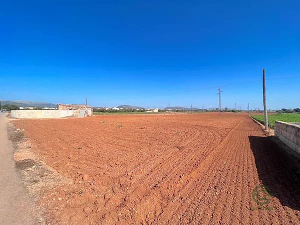 Finca agrícola de 1,43 ha en venta en Sa pobla, Baleares