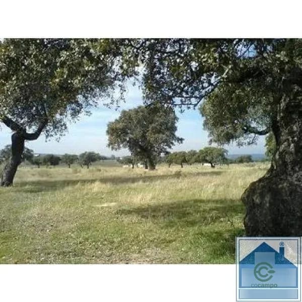 Finca agrícola de 3 ha en venta en Mérida, Badajoz