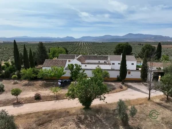 Finca rústica de 6 ha en venta en Málaga
