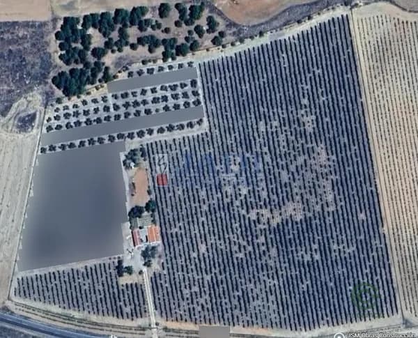 Finca agrícola de 5,7 ha en venta en Valdepeñas, Ciudad real