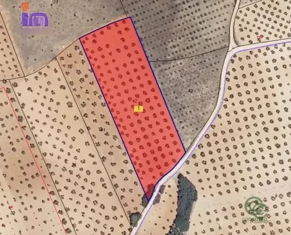 Finca agrícola de 1,19 ha en venta en Valdepenas, Ciudad real