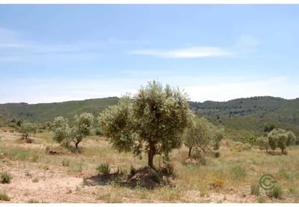 Finca rústica de 340,36 ha en venta en Granadella (la), Lleida