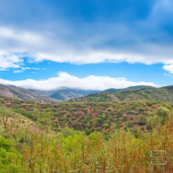 Finca rústica de 0,02 ha en venta en Salir, Algarve