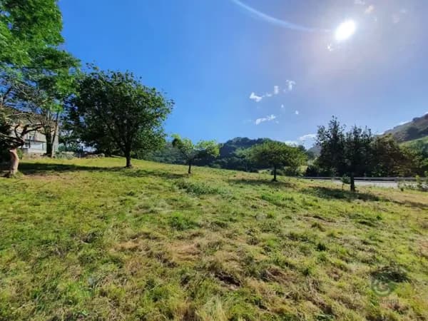 Finca agrícola de 0,53 ha en venta en Grado, Asturias