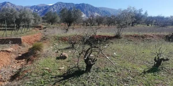 Finca agrícola de 0,18 ha en venta en Durcal, Granada