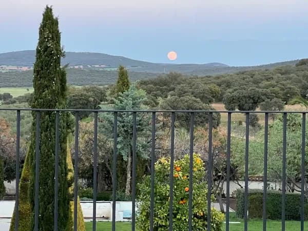 Finca rústica de 465 ha en venta en Ciudad real