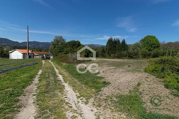 Finca agrícola de 4,5 ha en venta en São joão de rei, Braga
