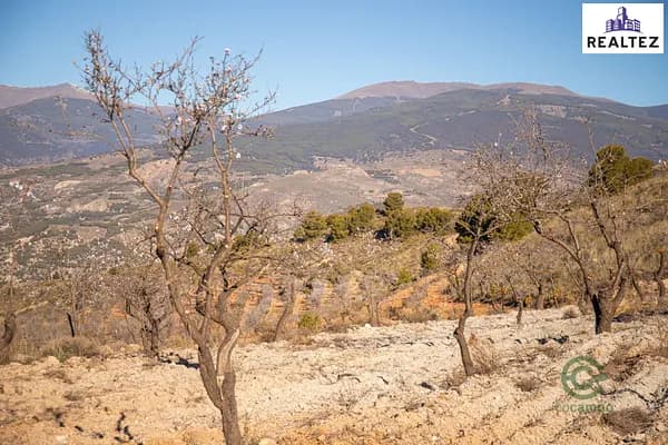 Finca agrícola de 1,8979 ha en venta en Alcolea, Almeria