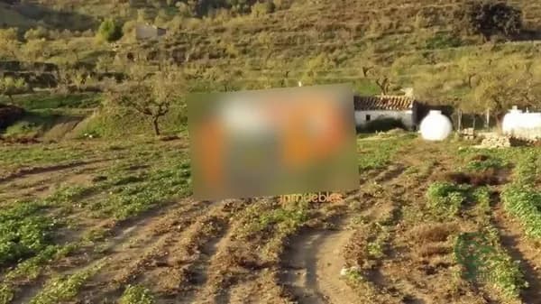 Finca rústica de 1,6568 ha en venta en Velez-rubio, Almeria