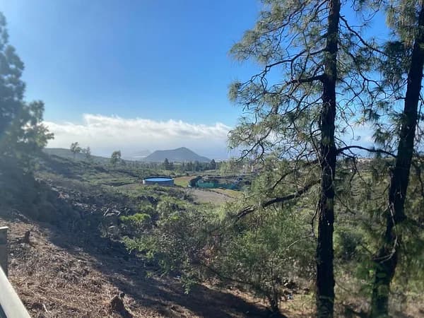 Finca rústica de 0,293 ha en venta en Granadilla de abona, Santa cruz de tenerife