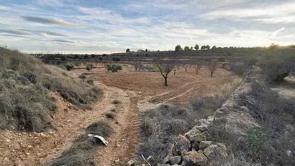 Finca agrícola de 0,36 ha en venta en Murcia
