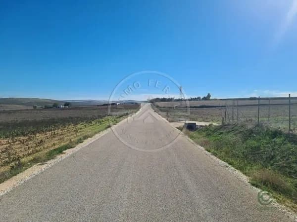 Finca agrícola de 7 ha en venta en Sevilla