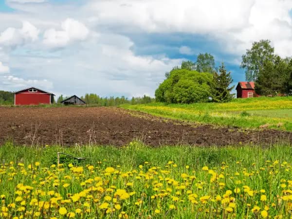 Alquiler de fincas rústicas en Argentina: Guía completa
