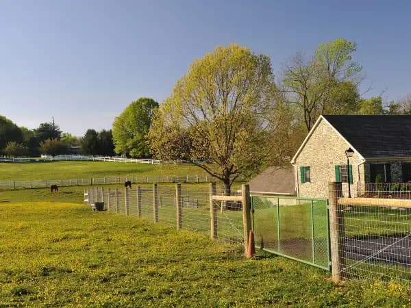 Estos son los Tipos de Contratos de Alquiler para Fincas Rústicas en Argentina