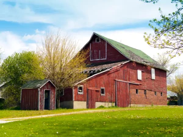 Os diferentes tipos de contratos de aluguéis para fazendas rústicas