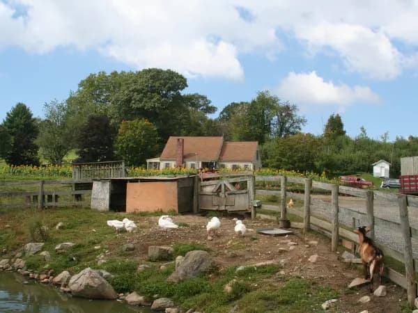 Aspectos para Analisar Antes de Comprar uma Fazenda Rústica