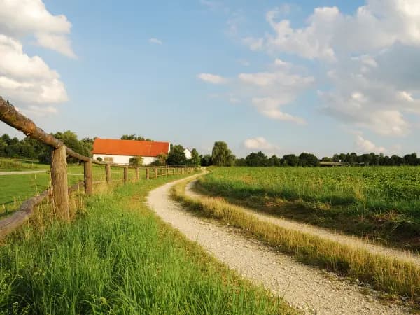 Conheça as chaves do contrato de opção de compra para as propriedades rústicas