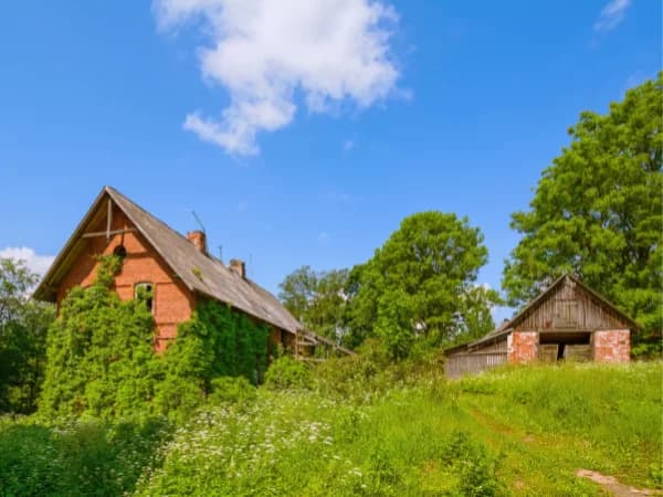 O que deve considerar se vai mudar para o campo