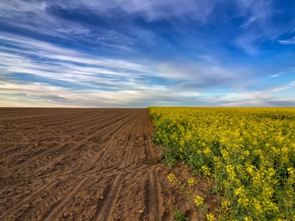 Multa por construir em terreno rústico — o que saber antes de avançar
