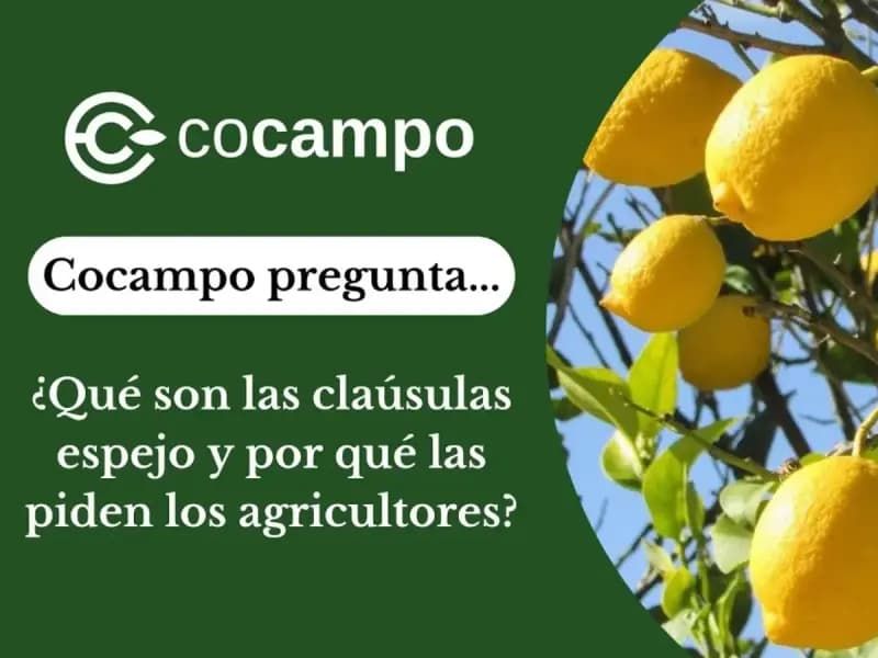 Cláusulas espejo: ¿Qué son y por qué las reclaman el Gobierno y los agricultores?