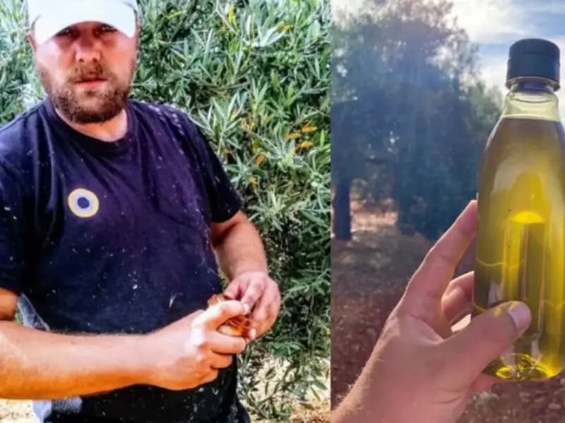 Tomy Rohde: el agricultor del aceite de autor y los ‘trending topics’