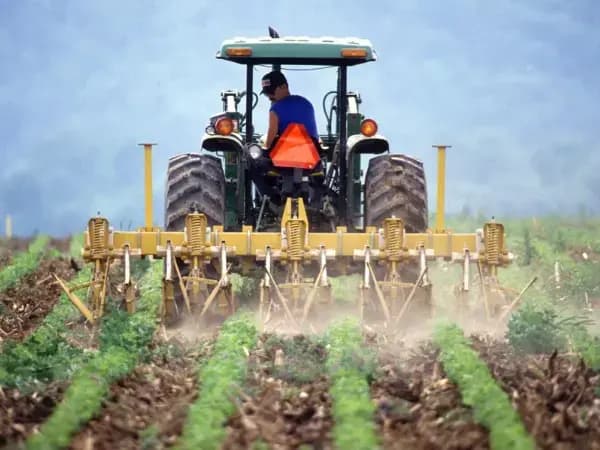 BALANCE AGRO 2021: todas las claves del año que acaba
