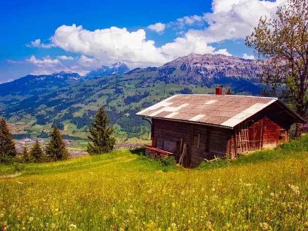 El suelo agrario se revaloriza: el precio por hectárea aumenta un 3% en los últimos seis años