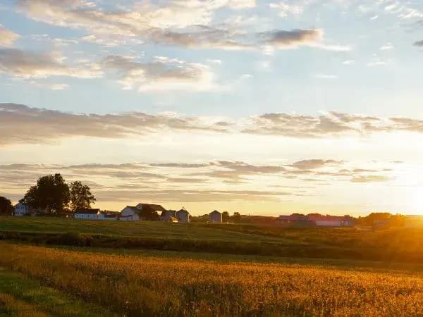 La sequía y el desánimo por las políticas agrarias hunden la compraventa de fincas rústicas