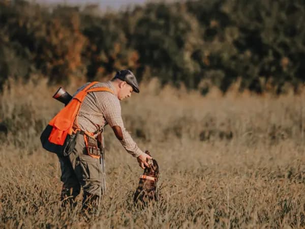 Cinegética, la feria de caza por excelencia