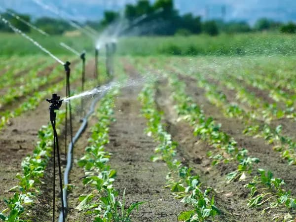¿Cómo elegir el mejor sistema de riego?