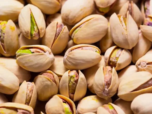 PistachoPro y Agromarketing Online crean plataforma de conocimiento sobre el cultivo del pistacho en España