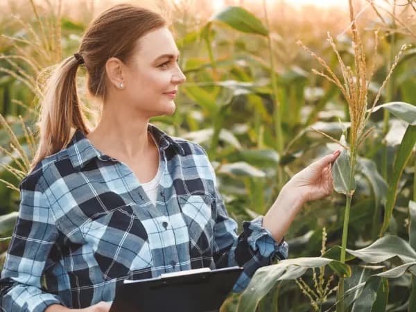 ¿Cuál es la diferencia entre valor de tasación y valor de mercado?