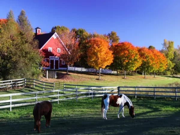 ¿Me pueden quitar un terreno sin escrituras?