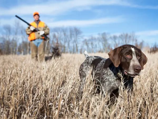Temporada de caza en Cantabria 2025/2026