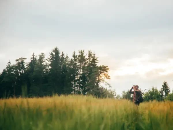Temporada de caza en Castilla-La Mancha 2025/2026