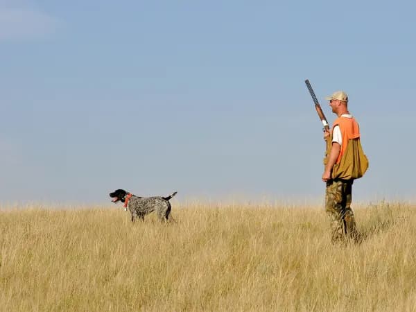 Temporada de caza en Castilla y León 2025/2026