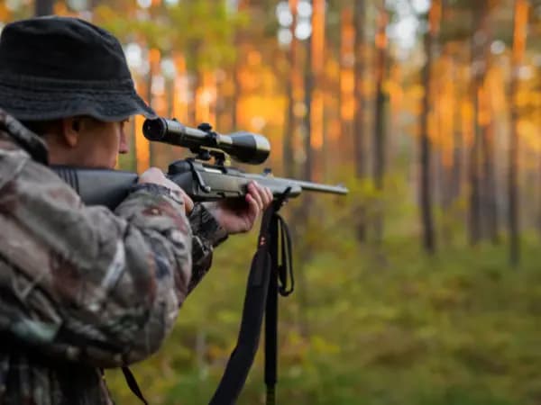 Temporada de caza en País Vasco 2025/2026