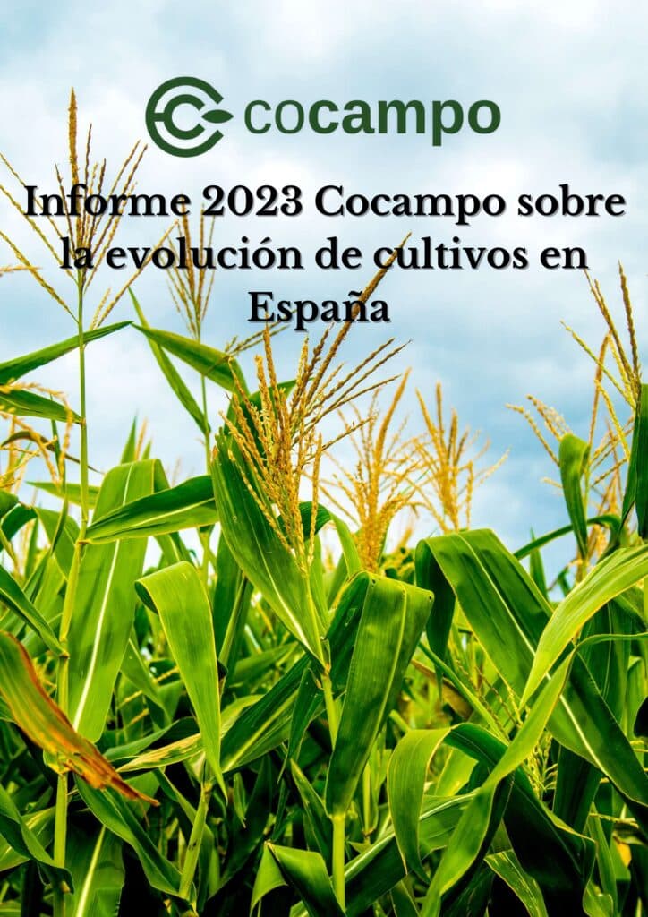 INFORME 2023 COCAMPO SOBRE LA EVOLUCIÓN DE LOS CULTIVOS EN ESPAÑA