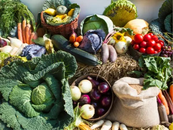 DOP e IGP: ¿Qué son y cuántas existen en España?