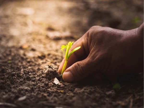 Rotación trienal: qué es, cómo funciona y cuáles son sus ventajas