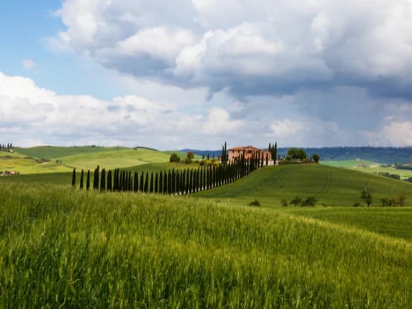 ¿Se puede vender una finca rústica arrendada?