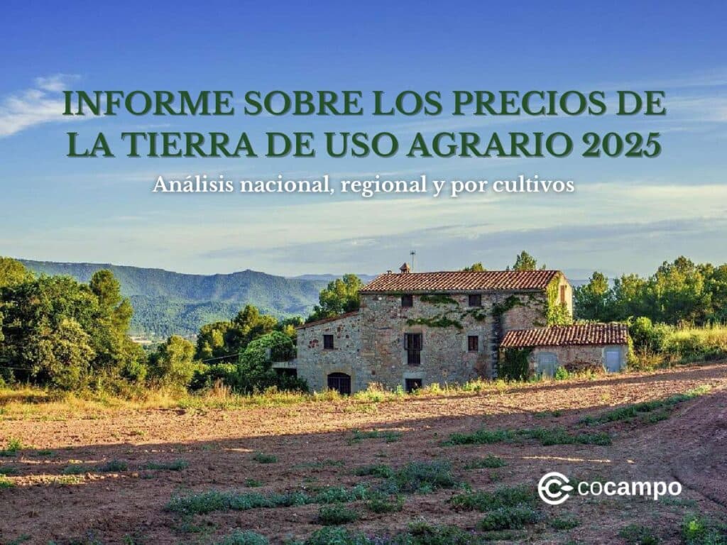 INFORME SOBRE LOS PRECIOS DE LA TIERRA DE USO AGRARIO 2025