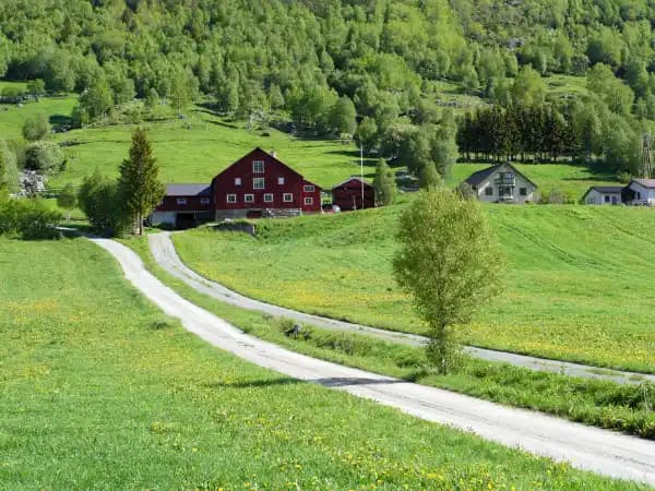 El mercado rústico gira hacia el lujo rural: más demanda urbana y fincas pequeñas al alza