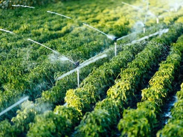 Seguro para sistemas de riego agrícola en 2026: Qué se puede asegurar