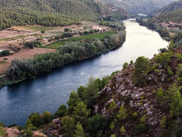 Fincas rústicas en Los Monegros: el corazón árido de Aragón para inversores rurales