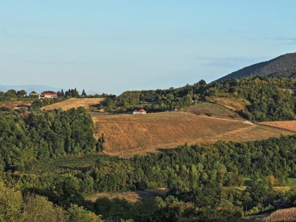 Paisaje rural con colinas onduladas, campos de cultivo dorados y zonas de bosque verde, con una casa aislada en el centro y una montaña al fondo bajo cielo despejado.